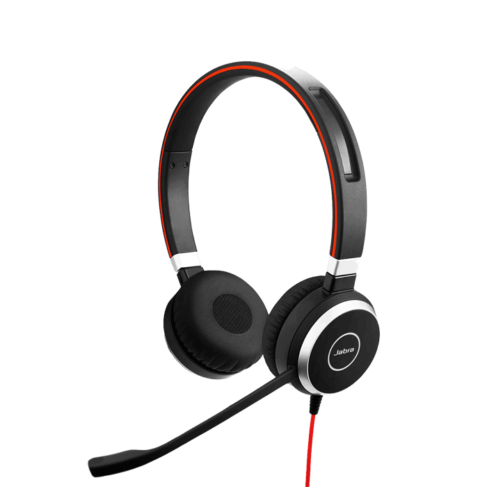 Dual Ear Headset